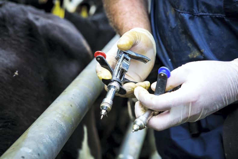 Farmers in line to pay more on TB Farmers in line to pay more on TB