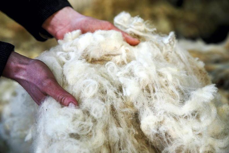 Wool markets have hit rock bottom Wool markets have hit rock bottom