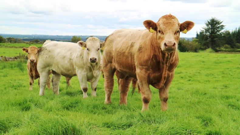 Managing your workload at housing time Managing your workload at housing time