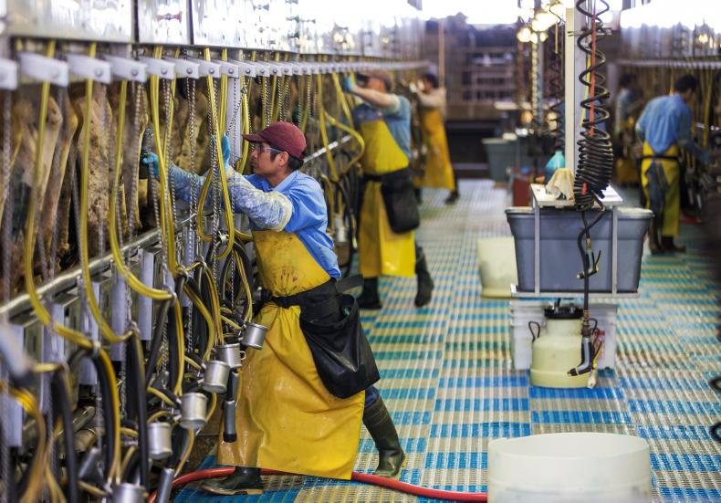 Dairy markets: global milk production remains bullish despite uncertainty Dairy markets: global milk production remains bullish despite uncertainty