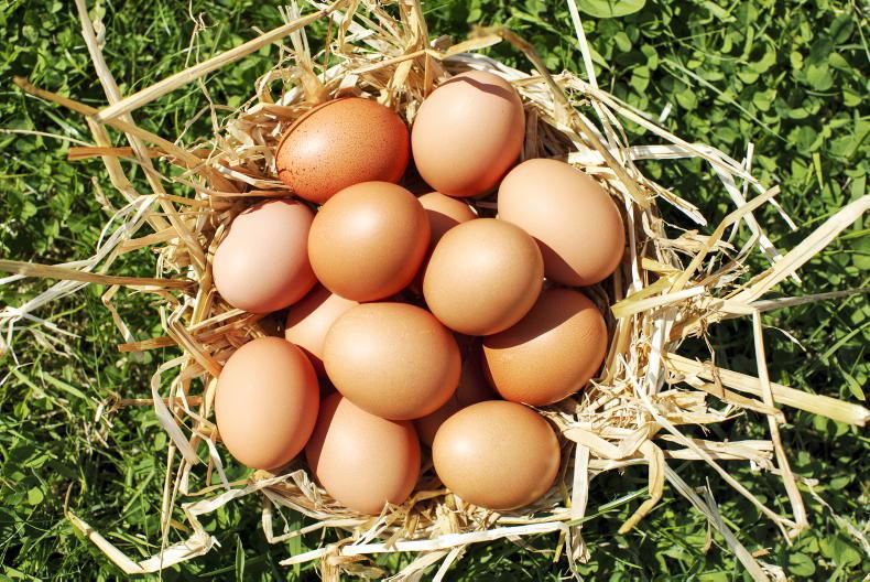 Omega3 enriched chicken and eggs shown to lower blood pressure 22