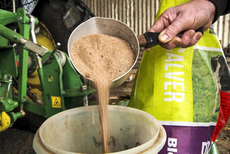 Dairy management: grass running tight Dairy management: grass running tight