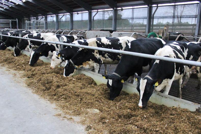 Utilising genetic potential at Greenmount Utilising genetic potential at Greenmount