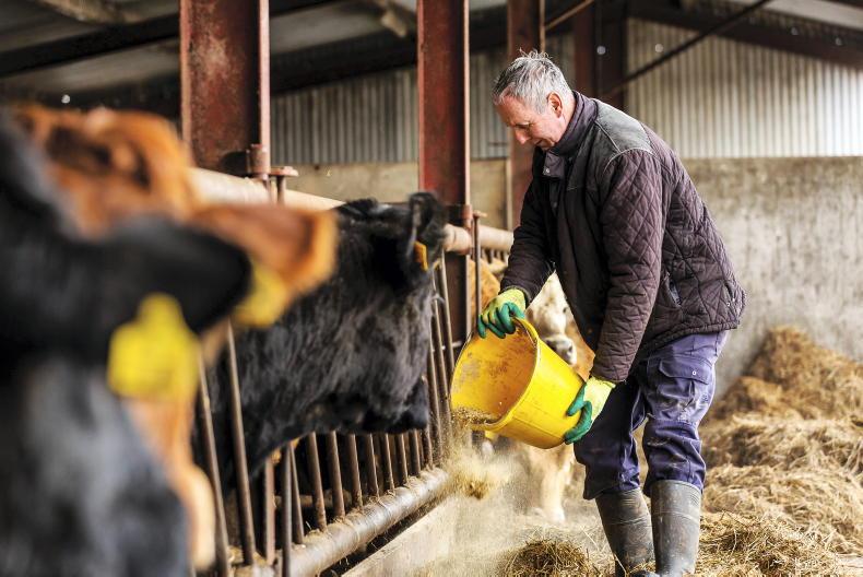 Calls for BDGP and BEEP extension Calls for BDGP and BEEP extension