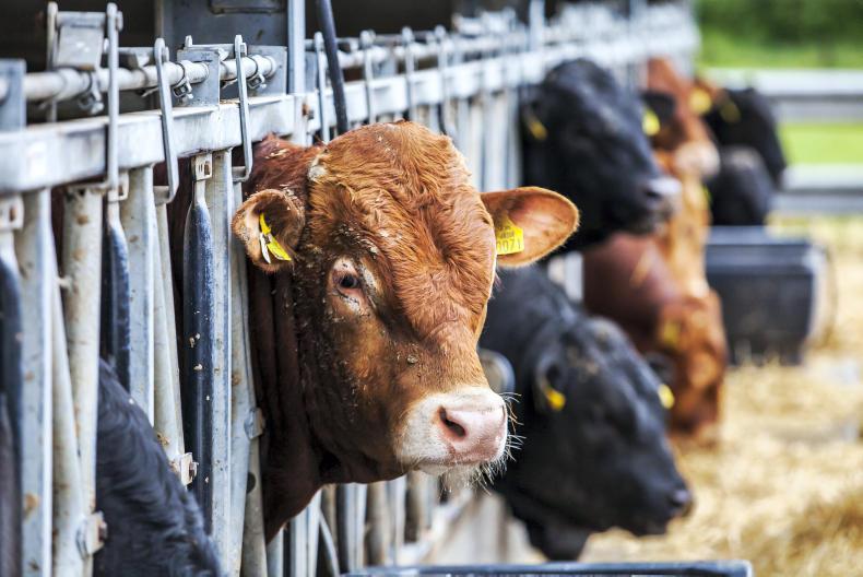 Big BEAM problems could lie ahead Big BEAM problems could lie ahead