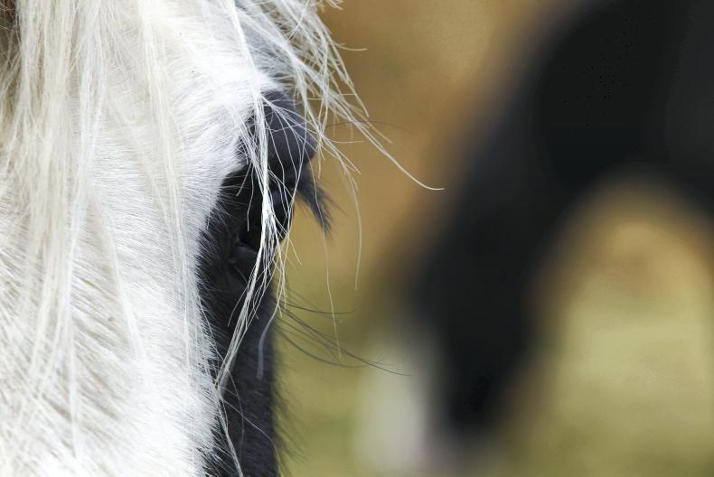 Agri jobs: sales manager and farm workers required Agri jobs: sales manager and farm workers required