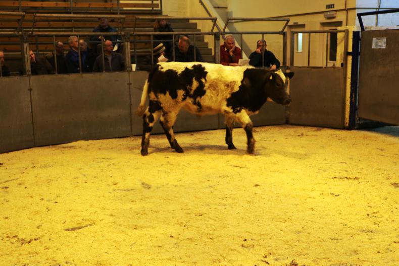 Scottish prices: beef and lamb markets continue their strong run Scottish prices: beef and lamb markets continue their strong run