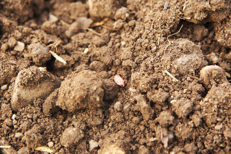 EU crop report: favourable end-of-season sowing conditions EU crop report: favourable end-of-season sowing conditions