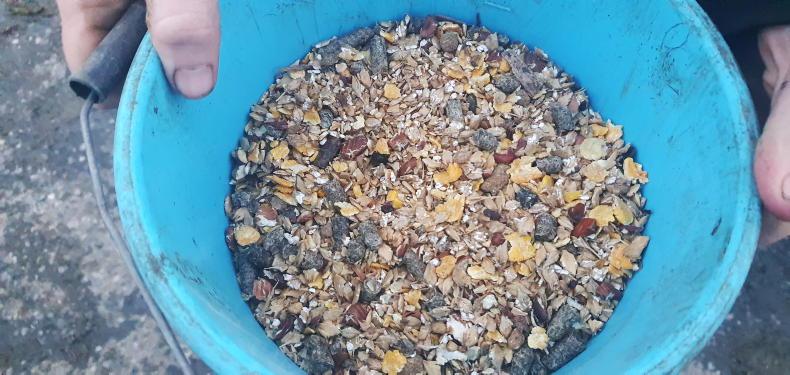 Watch: Tullamore Farm winter diet plan Watch: Tullamore Farm winter diet plan