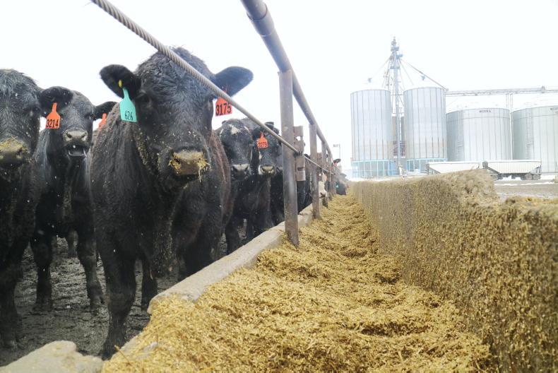 Canadian deal has had minimal impact to date Canadian deal has had minimal impact to date