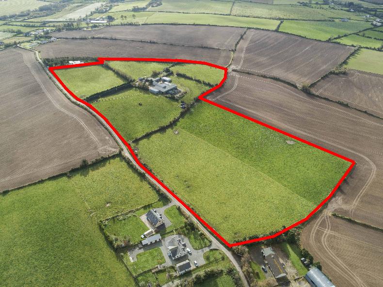 Two contrasting land parcels for sale in Wexford 02 December 2020 Premium