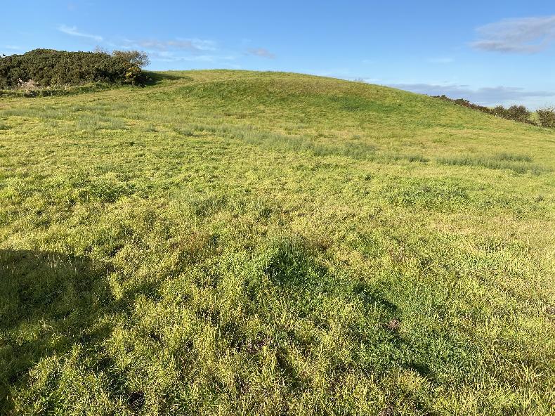 86ac of grassland for sale in Limerick 02 December 2020 Premium