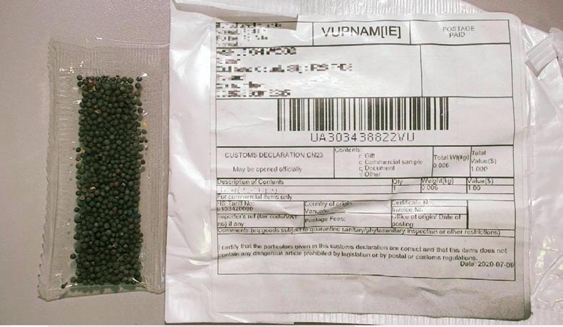 Here’s what’s in the random packets of seeds received in the post Here’s what’s in the random packets of seeds received in the post