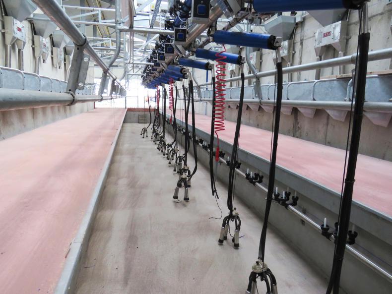 Alternatives to once-a-day milking being trialled Alternatives to once-a-day milking being trialled