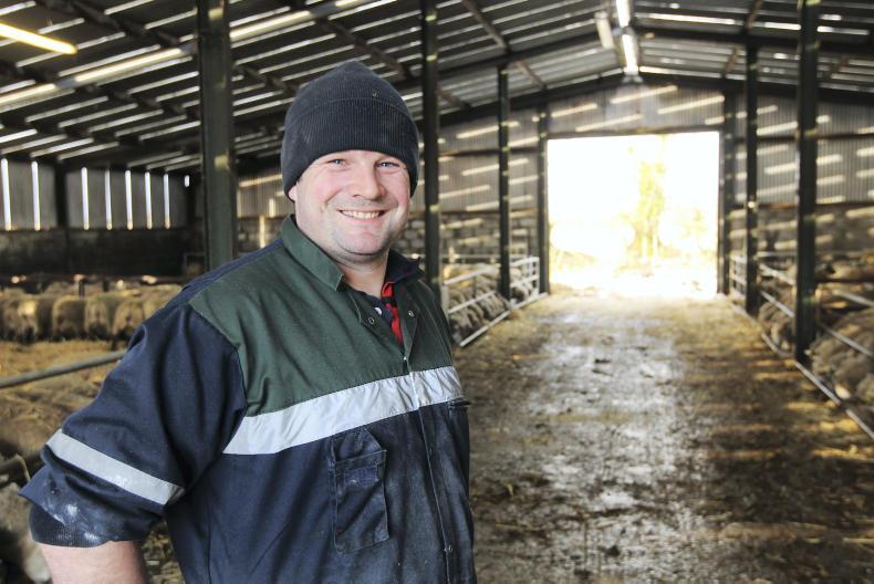 Farmer Writes: ewes housed and scanning begins Farmer Writes: ewes housed and scanning begins