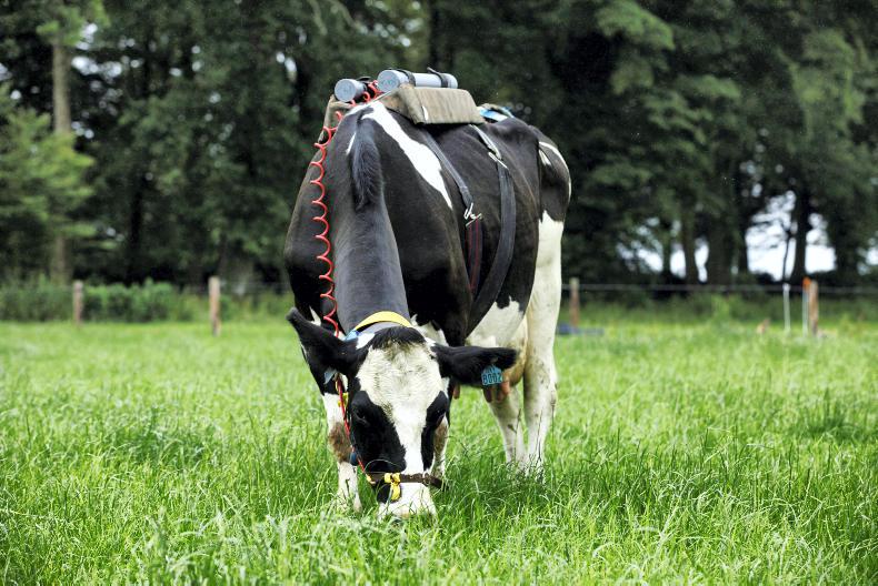 New climate road map for farming targets cuts in methane, ammonia and nitrogen New climate road map for farming targets cuts in methane, ammonia and nitrogen