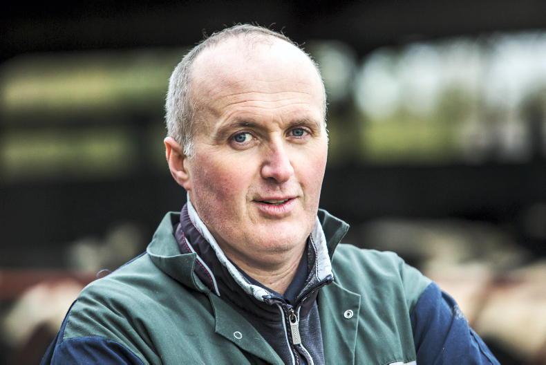 Ag Climatise report slammed by ICMSA Ag Climatise report slammed by ICMSA