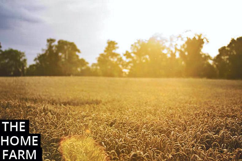 Home Farm: A mixed set of assessments Home Farm: A mixed set of assessments