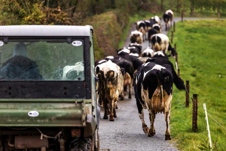 Ten lessons from Dairylink in 2020 Ten lessons from Dairylink in 2020