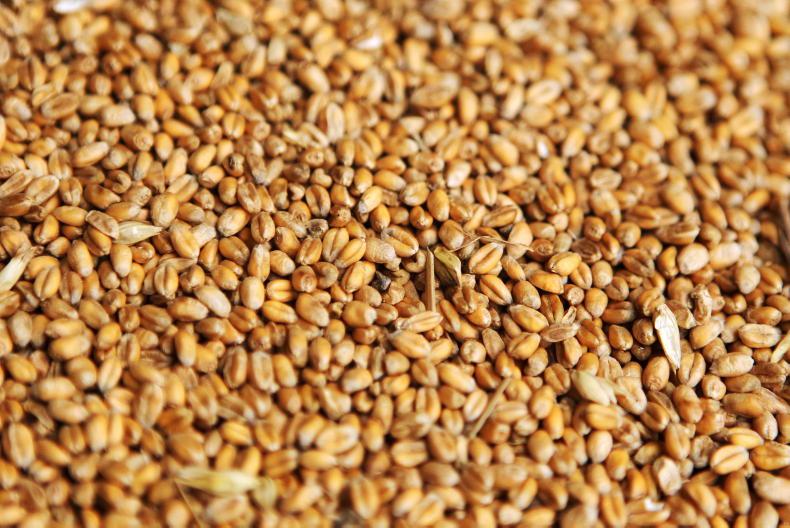 New Russian wheat futures market New Russian wheat futures market