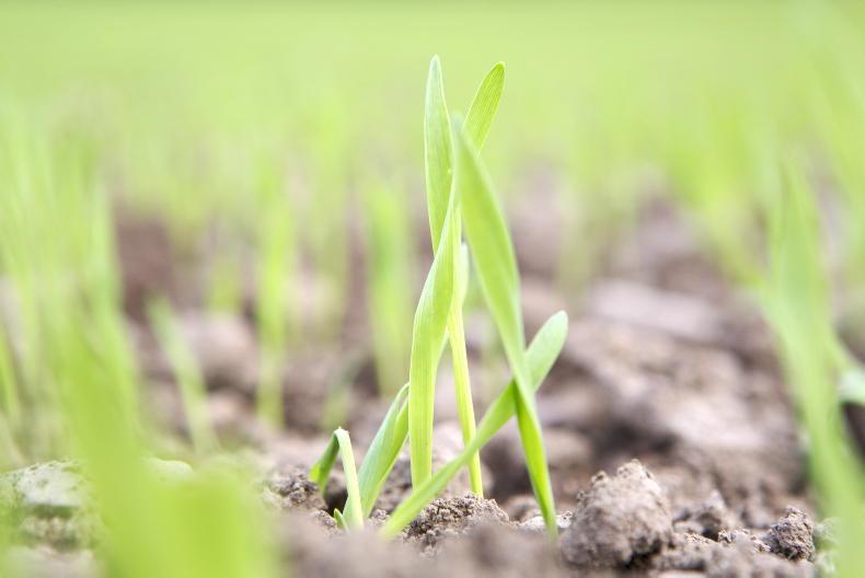 A month of focus on tillage issues A month of focus on tillage issues