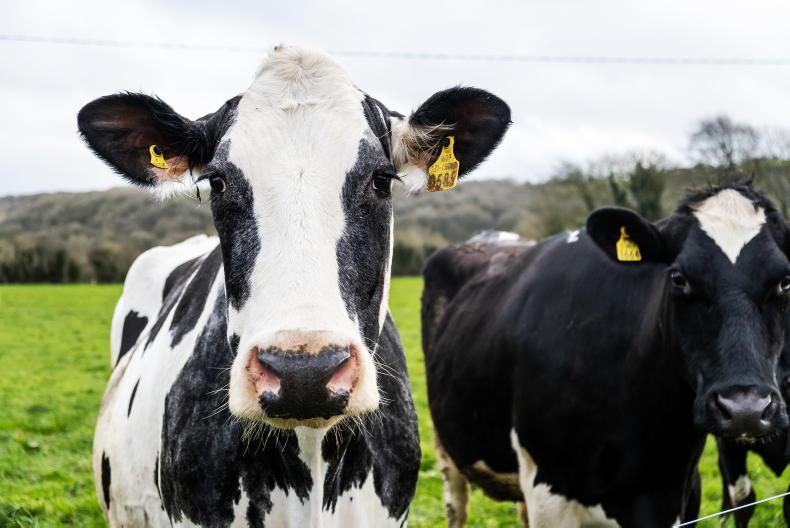 Fertiliser on dairy farms: ‘If you do nothing, costs will increase’ Fertiliser on dairy farms: ‘If you do nothing, costs will increase’