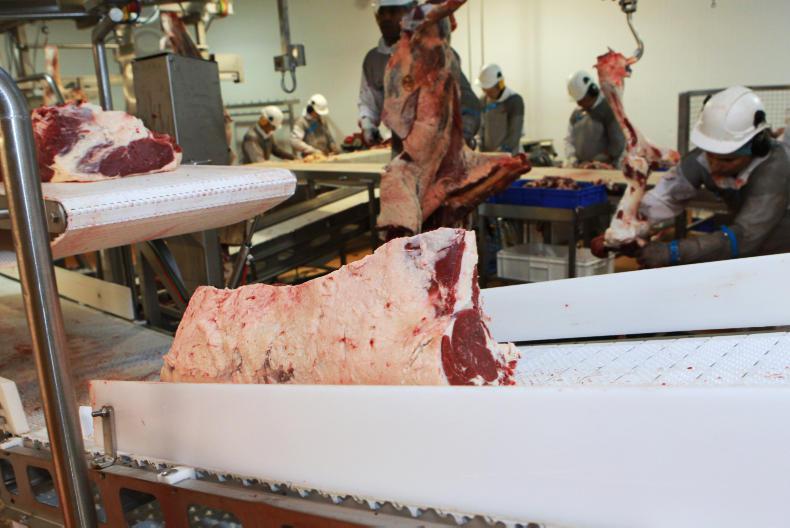 Calls for conditions on €100m factory fund Calls for conditions on €100m factory fund