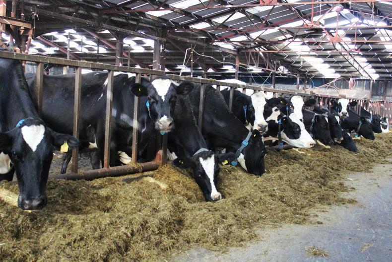Dale Farm holds milk price for December