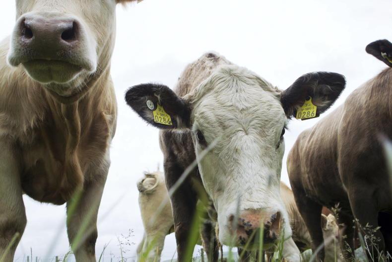 Clock ticking as BEAM pressure mounts Clock ticking as BEAM pressure mounts