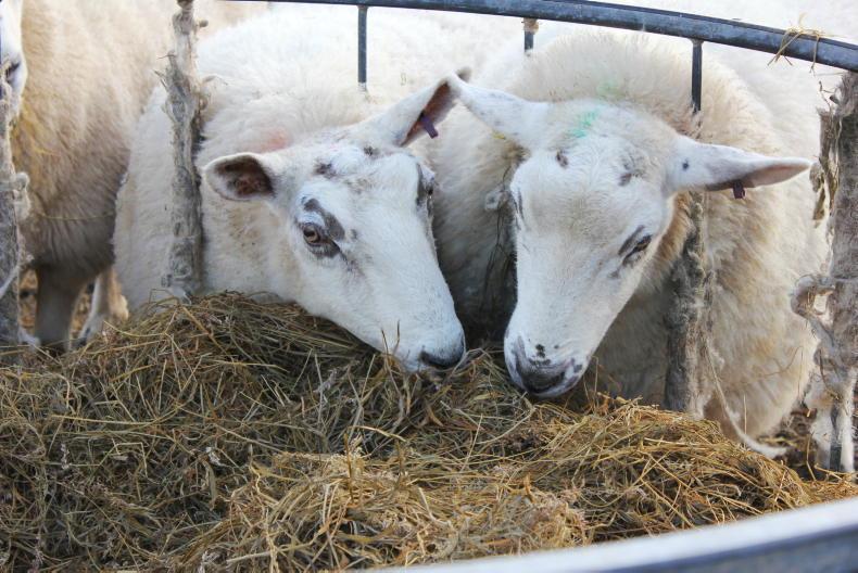 Beef price yet to break the £4/kg ceiling in Scotland Beef price yet to break the £4/kg ceiling in Scotland