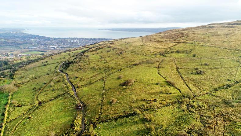 Severe cuts to land rent income from telecom masts Severe cuts to land rent income from telecom masts