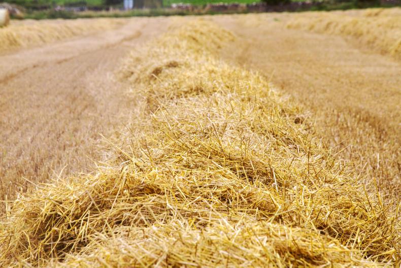 Straw Ireland’s key import and export markets Free