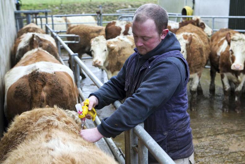 Creating a stage on the farm Creating a stage on the farm