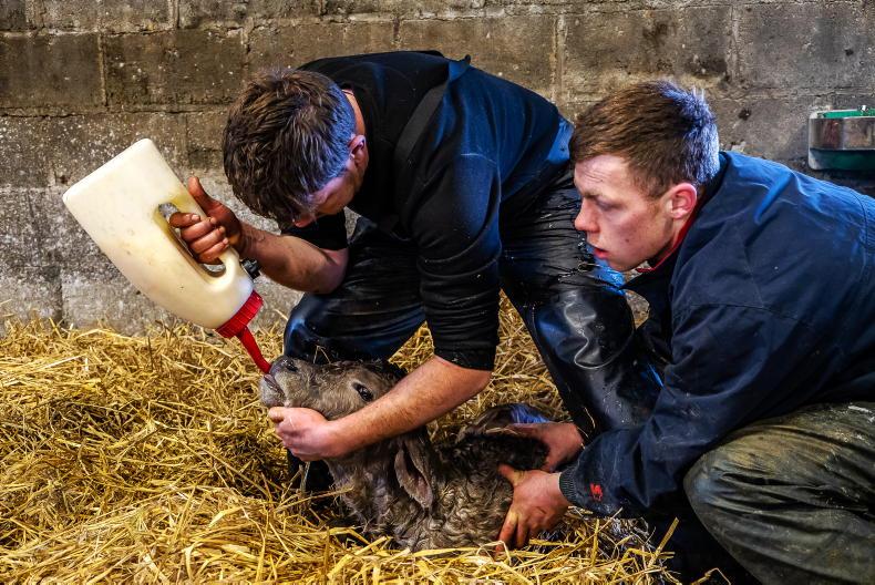 Save the date: Irish Farmers Journal spring webinar series Save the date: Irish Farmers Journal spring webinar series