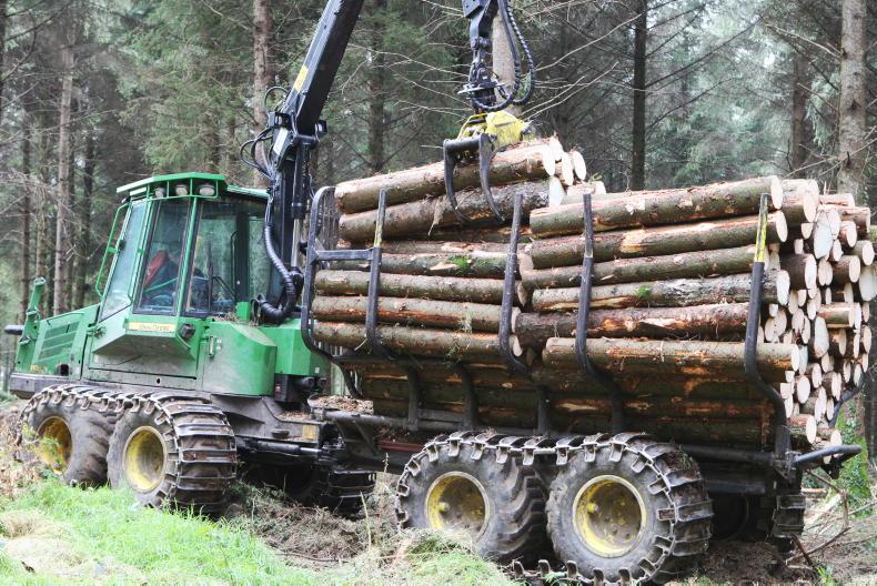 Committee hears 4,436 forestry licences awaiting processing
Committee hears 4,436 forestry licences awaiting processing