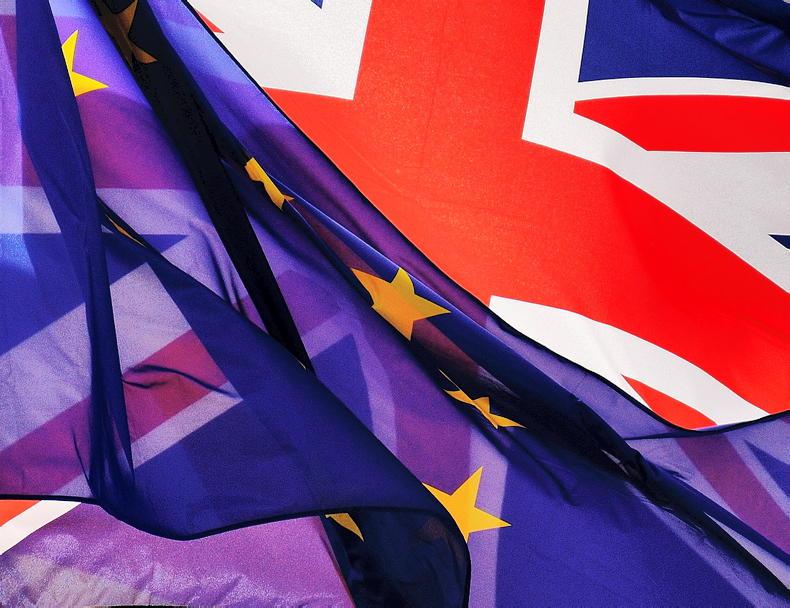 Preparation is key to post-Brexit equine travel Preparation is key to post-Brexit equine travel
