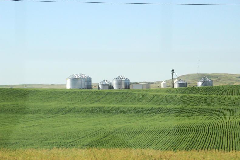 The impact of US farm income supports on grain, dairy and meat prices The impact of US farm income supports on grain, dairy and meat prices