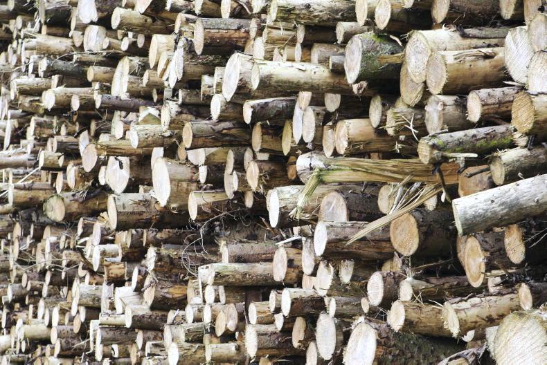 National producer organisation to ‘increase forest owners' bargaining power’ National producer organisation to ‘increase forest owners' bargaining power’