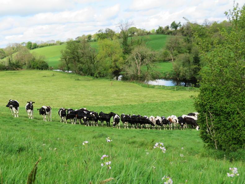 Applications for locally led schemes wanted for €1.25m biodiversity fund Applications for locally led schemes wanted for €1.25m biodiversity fund
