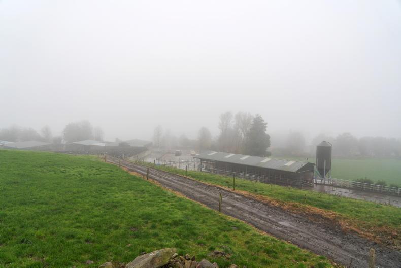 Grass+Beef: wet weather halts thoughts of turnout Grass+Beef: wet weather halts thoughts of turnout