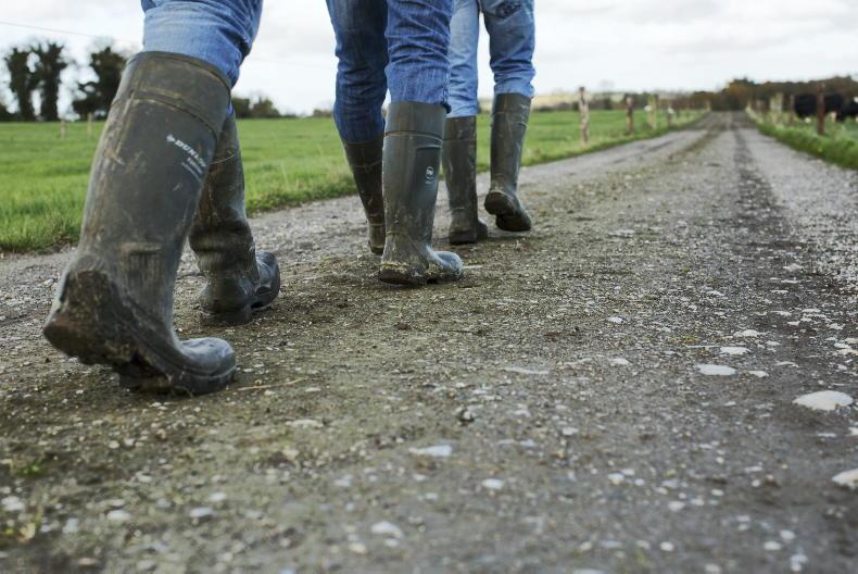 Fun-filled Capers showcase weekend Fun-filled Capers showcase weekend