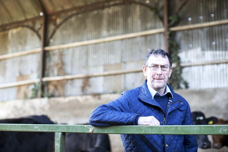 Farmers the biggest losers in change to vet medicine rules – IFA Farmers the biggest losers in change to vet medicine rules – IFA