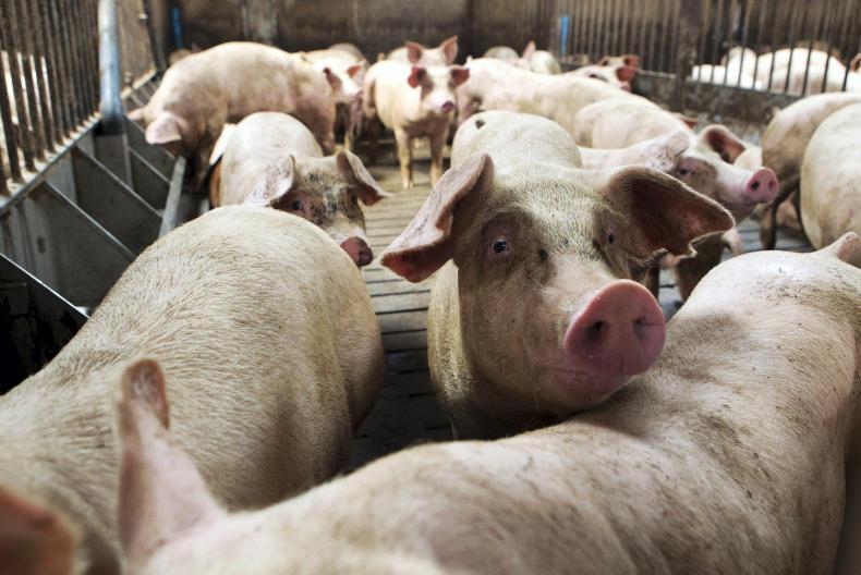 News round-up from Northern Ireland News round-up from Northern Ireland