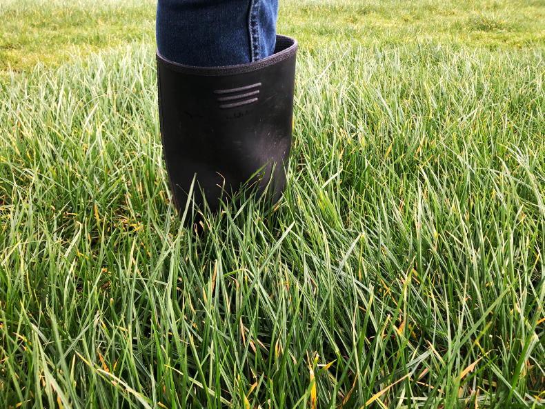 Weekend weather: mild but wet conditions ahead Weekend weather: mild but wet conditions ahead