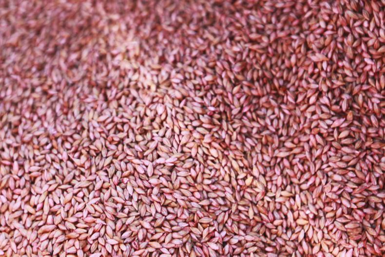 2021 malting barley list released 2021 malting barley list released