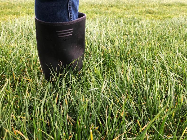 Beef Management: weather conditions, BDGP letters and BEEP weighing Beef Management: weather conditions, BDGP letters and BEEP weighing