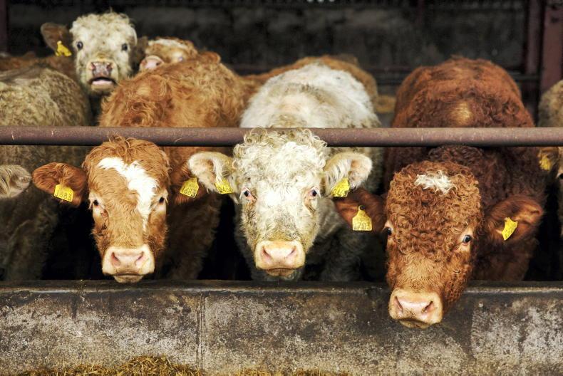 Department releases new BEAM calculator Department releases new BEAM calculator