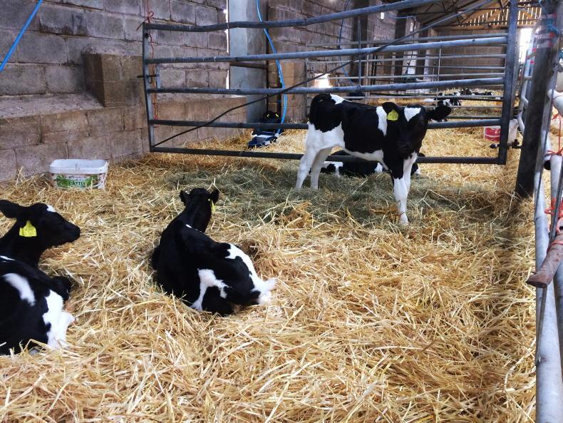 Farmer Writes: some milk contracts are a perishable product Farmer Writes: some milk contracts are a perishable product