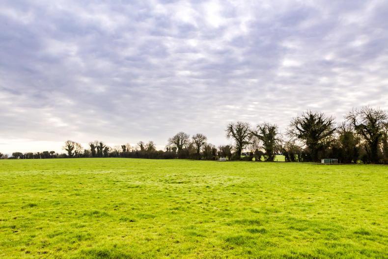 Flying start to year as farm reaches €780k at auction
Flying start to year as farm reaches €780k at auction