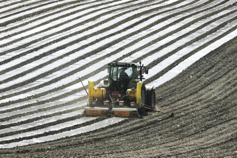 No big surprises to recommended maize list No big surprises to recommended maize list